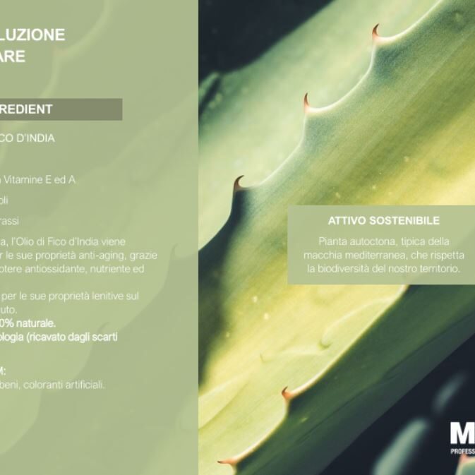 MOOD SUMMER LINEA SOLARE 2024 9 mood suncare 2024 9